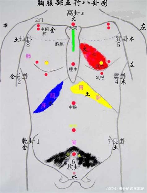 人體八卦|《周易》数理之——后天八卦对应人体部位与器官